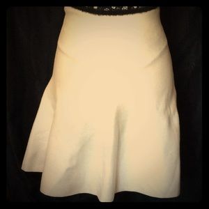 Zara Wool A-line skirt